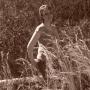 Joanna Rowe Photo 25