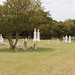 Elizabeth Crouch Photo 35
