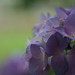 Debra Best Photo 20