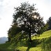 Barbara Cherry Photo 35