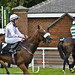 James Sires Photo 9
