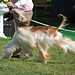 Joann Jones Photo 19