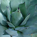 Joseph Russo Photo 41