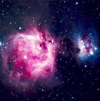 Nick Graves Photo 11