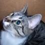 Janice Berg Photo 22
