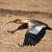 Mark Grise Photo 14