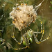 Richard Kreis Photo 26