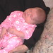 Evelyn Greene Photo 44