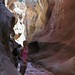 Robin Willis Photo 7