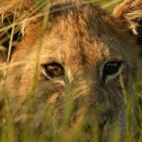 Brenda Kerns Photo 14