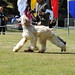 Robin Vasquez Photo 20