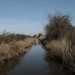 Devon Marsh Photo 13