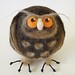 Jeffrey Bird Photo 3