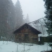 Michael Rumler Photo 6