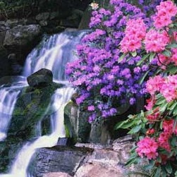 Nancy Schofield Photo 36