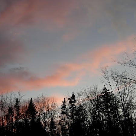 Jennifer Hanlon Photo 28