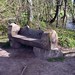 Bradley Newton Photo 15