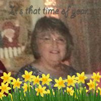 Debbie Purvis Photo 22