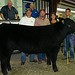 Chad Tubbs Photo 9