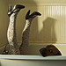 Richard Lott Photo 18