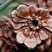 Stephen Pine Photo 20