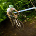 Robin Seymour Photo 13