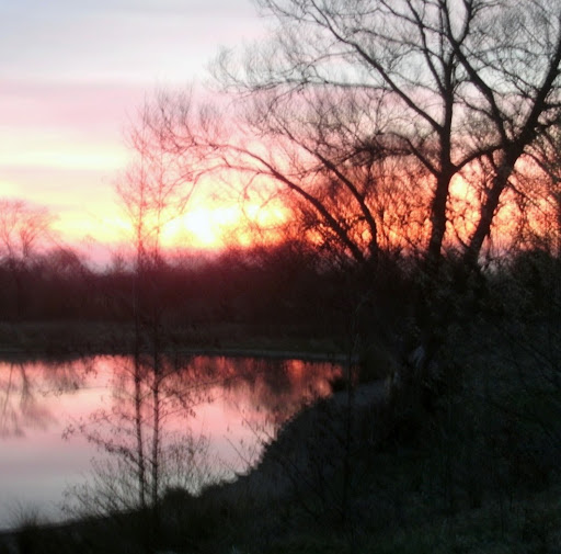 Gail Baker Photo 26