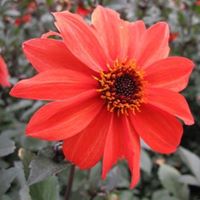 Sally Watson Photo 31
