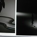 Stephen Hayward Photo 35