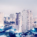 Thomas Hong Photo 15
