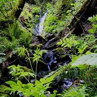 Andrew Goins Photo 32
