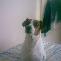 Janet Rowlands Photo 18