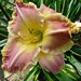 Gary Colby Photo 29