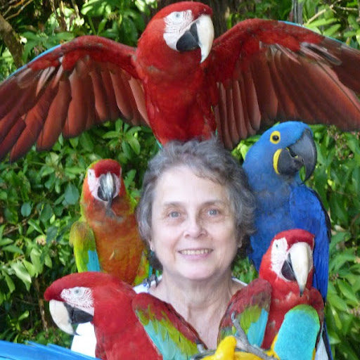 Judy Snyder Photo 16