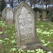 Mary Harrison Photo 8