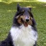 Ruthann Gray Photo 9