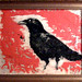 Renee Crow Photo 21