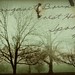 George Sproul Photo 10
