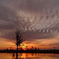 Laura Simms Photo 21
