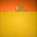 Dawn Alger Photo 11