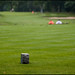 Donald Newton Photo 38