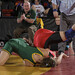 David Moll Photo 25