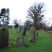 Jan Kirkham Photo 5