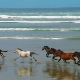 Frances Clarke Photo 22