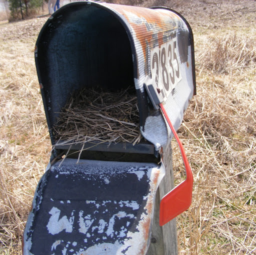 Karen Rice Photo 40