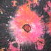 Cynthia Billings Photo 19