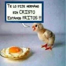 Fermin Garcia Photo 44