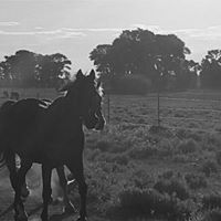 Lisa Magill Photo 23