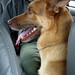 Larry Bos Photo 11