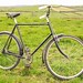Robin Brake Photo 7